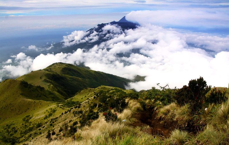 Naik Ke Puncak 5 Gunung Terangker Di Pulau Jawa