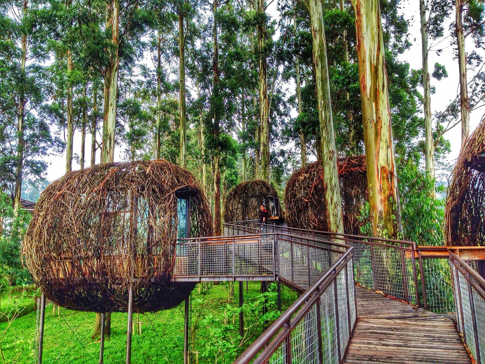 Cek 5 Rekomendasi Tempat Wisata Alam Di Bandung Ini Kalau Kamu Bosen