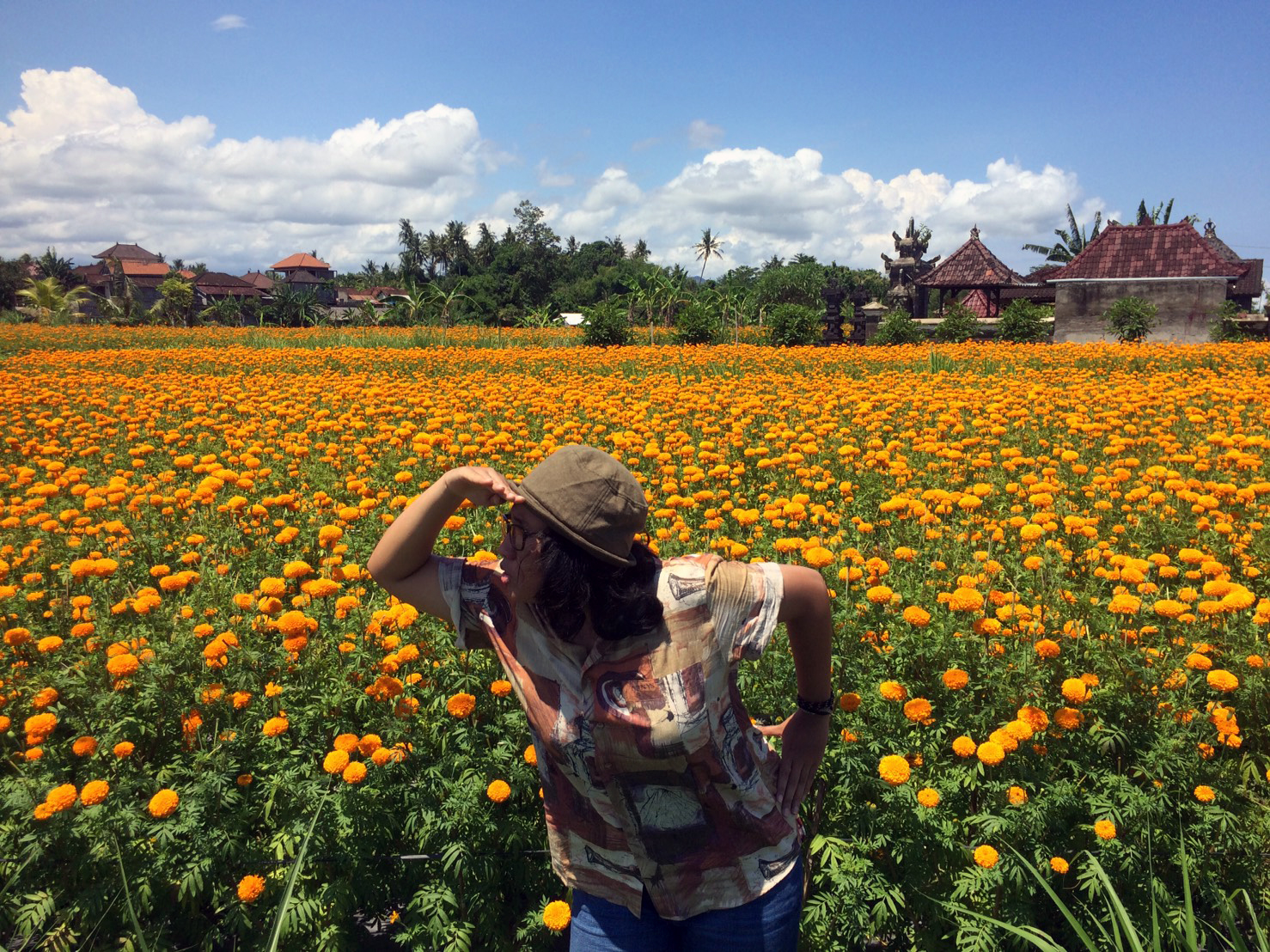 Indahnya Bunga  bunga  Cantik di  8 Taman Bunga  Indonesia 