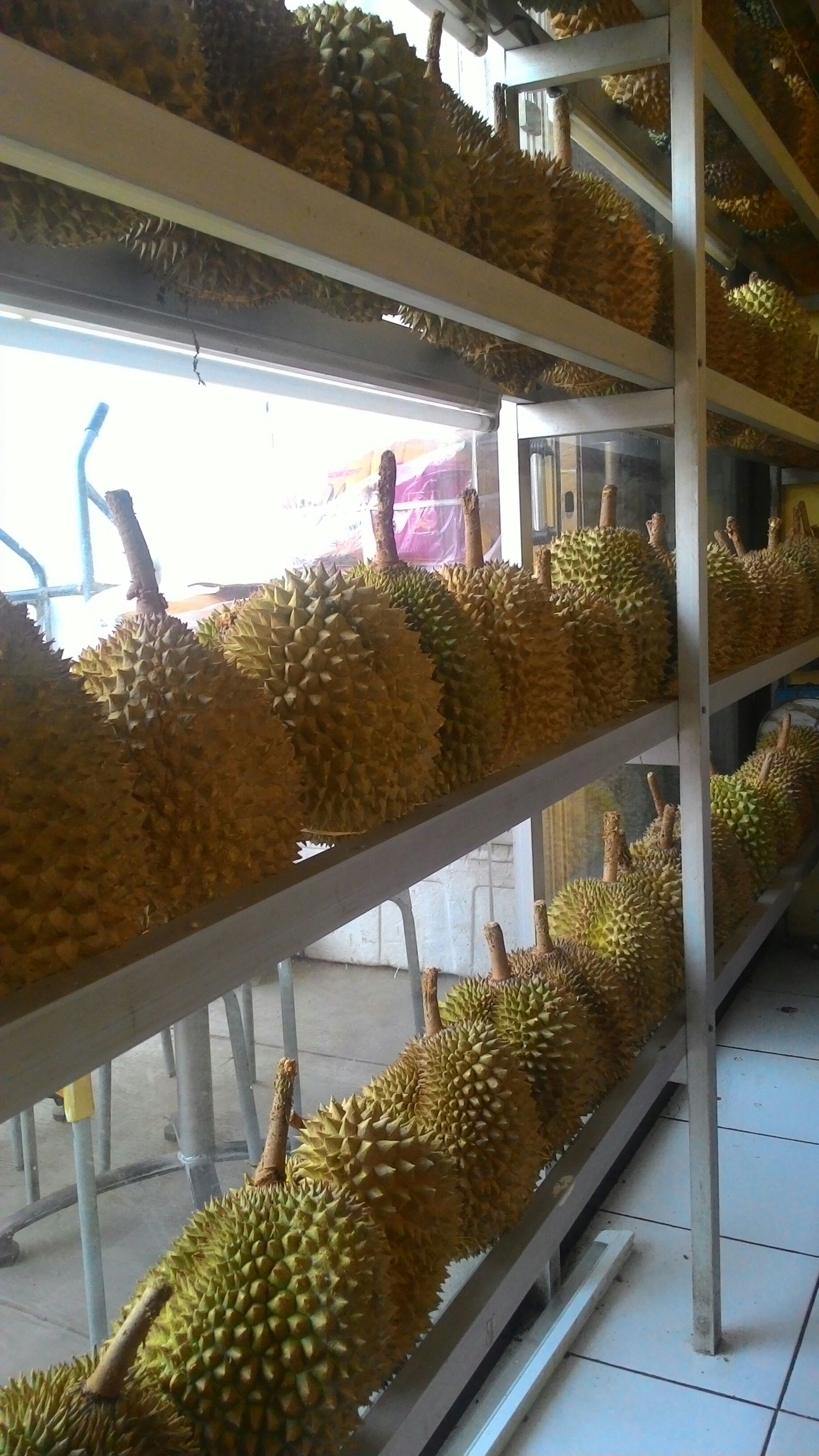 6 Tempat Makan Durian Terenak di Jakarta - Mister Aladin 