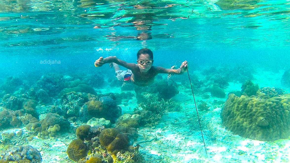 Pulau Kepa Pulau kepa