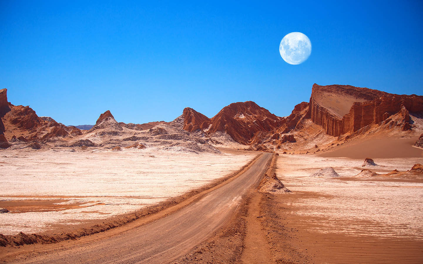 Gurun Atacama, Tempat Paling Gersang di Dunia yang Katanya 