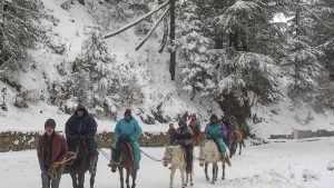 Salju Shimla di India