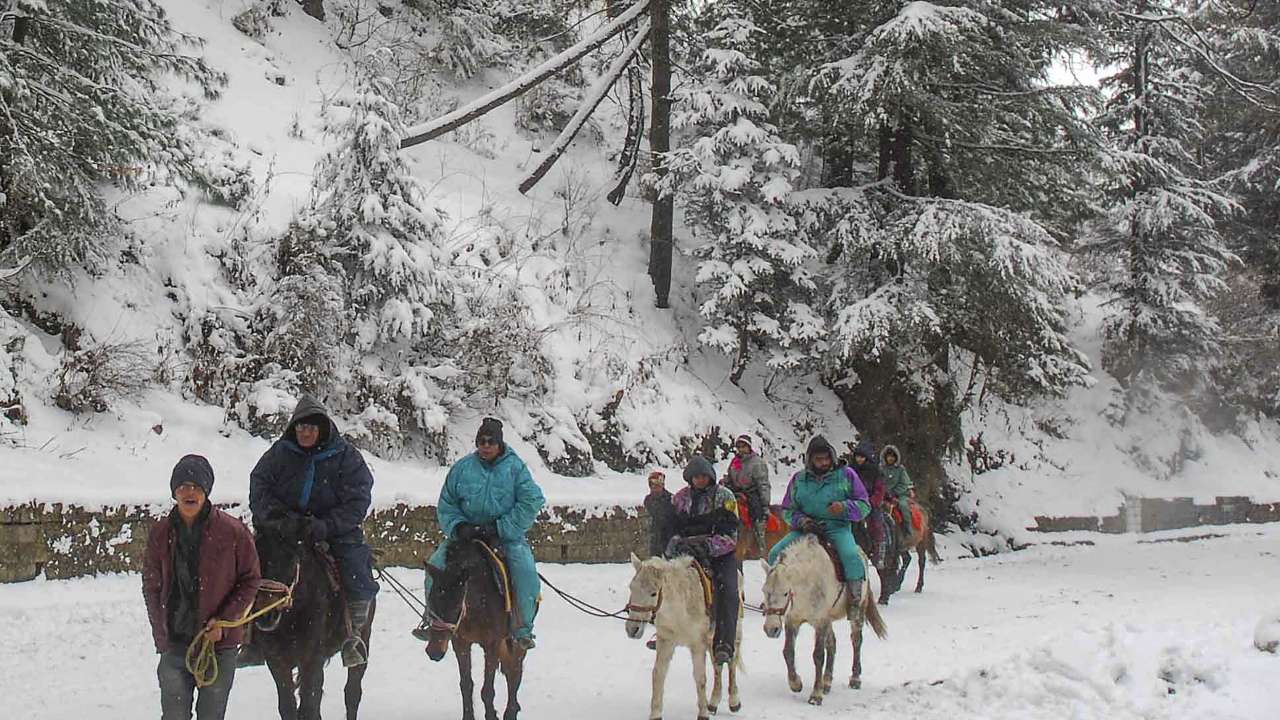 Wisata Salju Shimla di India yang Bikin Liburanmu Nggak