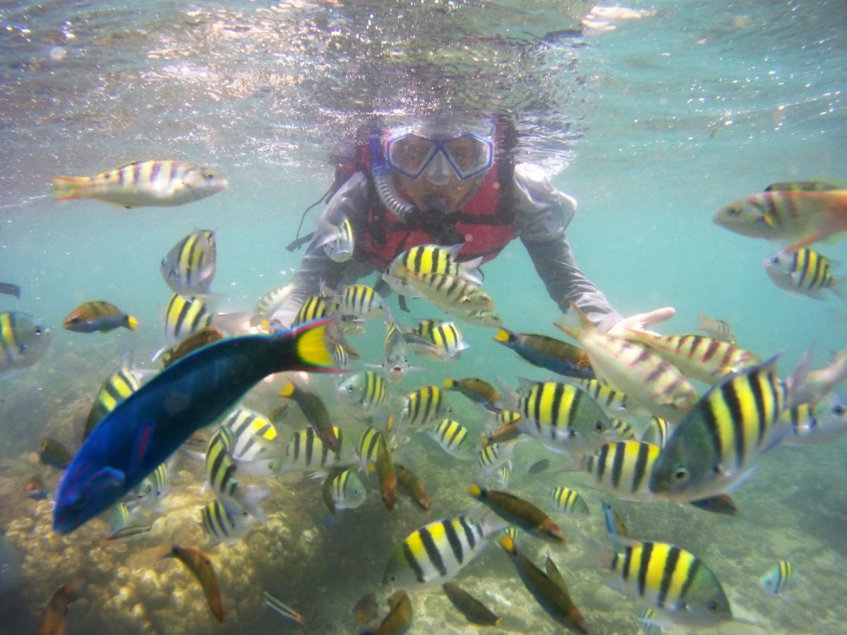 Spot Snorkeling Indah di Jogja