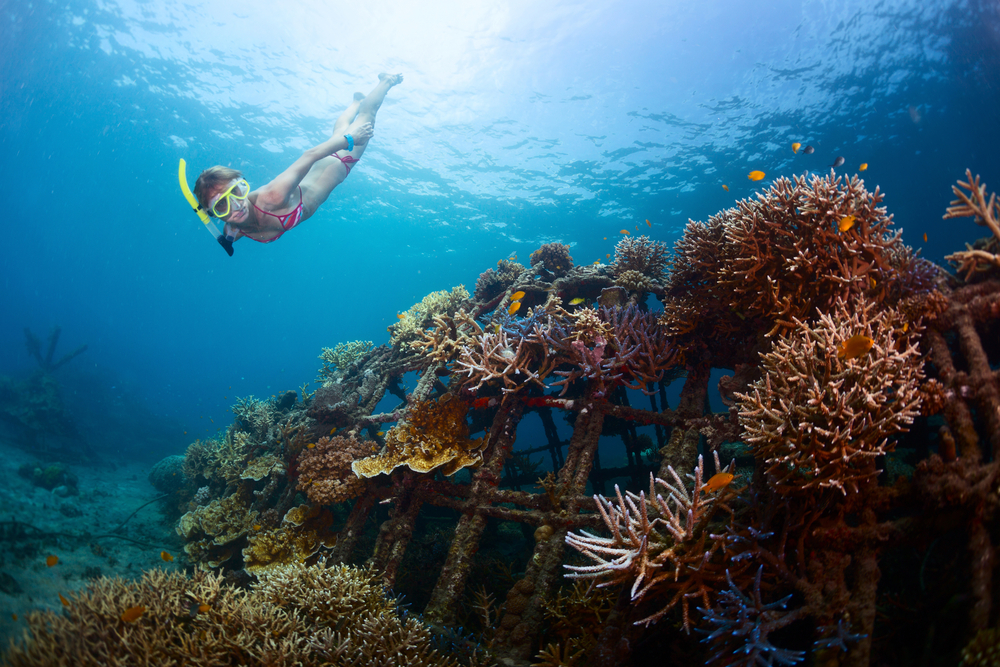13 Rekomendasi Tempat Snorkeling di Bali Paling Ciamik